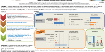 Poster mirpho 2018