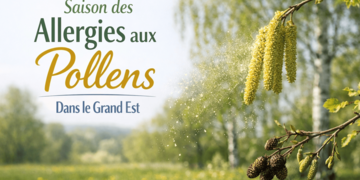 Illustration   pollens en grand est
